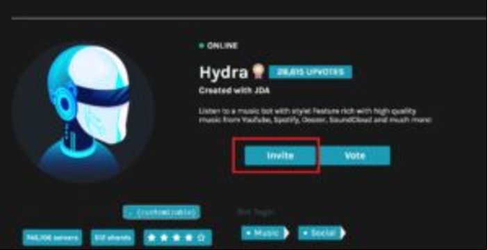 Cómo agregar bots en Discord - Añadir un bot de música en Discord
