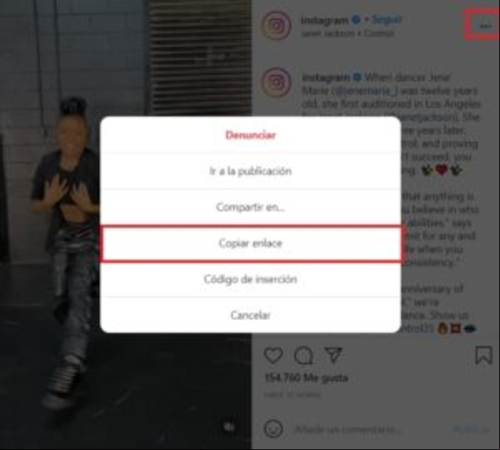 Cómo descargar video de Instagram privado - Descargar un vídeo privado de Instagram desde el navegador
