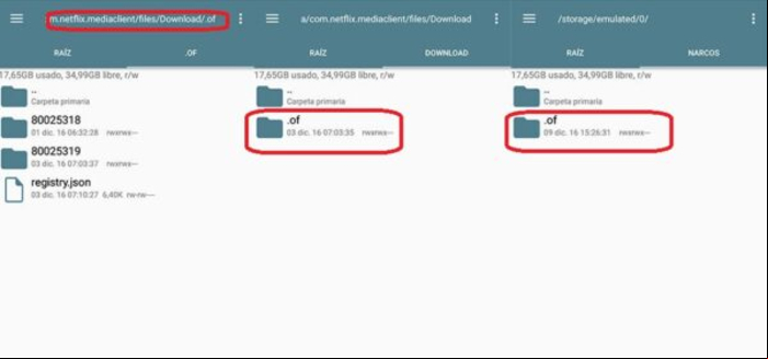 Dónde se guardan las descargas de Netflix - Descargas en Netflix desde Android