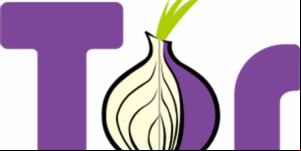 Navegador Tor - Qué es y cómo utilizarlo